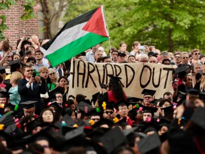 Harvard pro-palestine protest