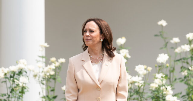 Democrat Megadonor: Harris ‘Disqualified Forever,’ Has ‘No Political Future,’ ‘Cannot Be Trusted’ with Money