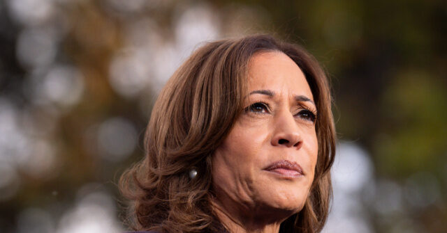 Nolte: Voters Rejected Ruinous Democrat Policies, Not Kamala’s Word Salad