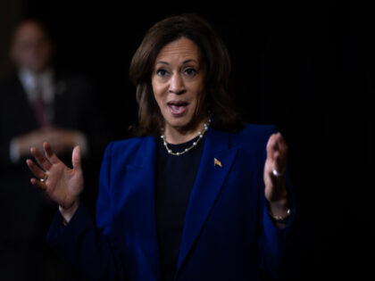 MADISON, WISCONSIN - OCTOBER 31: Democratic presidential nominee Vice President Kamala Har