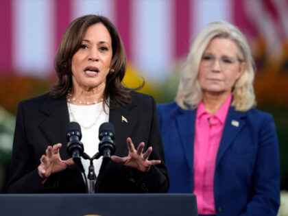 Democratic presidential nominee Vice President Kamala Harris speaks as former Rep. Liz Che