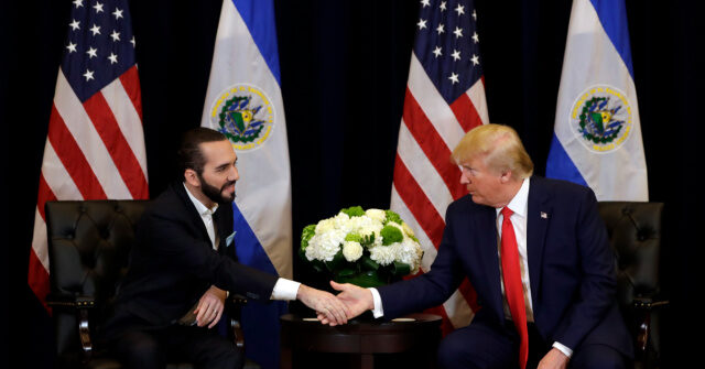El Salvador's Nayib Bukele Congratulates Trump: 'God Bless You and Guide You'