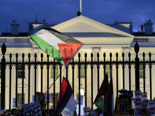 Anti-war activists protest outside of The White House during a pro-Palestinian demonstrati