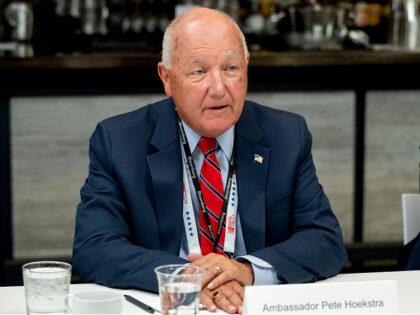 Pete Hoekstra, chairman of the Republican Party of Michigan, at an interview during the Re