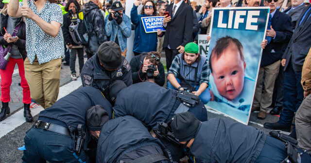 More Than a Dozen Abortion Activists Arrested at Men’s Pro-Life Demonstration in Boston: ‘Extremely Riotous’