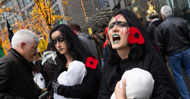 WATCH: Pro-Palestinian Protesters Yell at Black Friday Shoppers near NYC's Rockefeller Christmas Tree