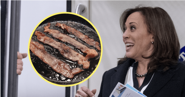 NYT: 'Subway Takes' Canceled Kamala Video After She Insulted Muslim Host over Bacon