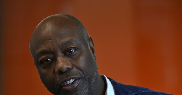 Tim Scott Announces Bid for Senate Republican Campaign Chairman