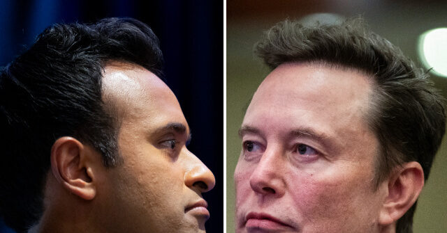 Exclusive -- Rep. Warren Davidson: Elon Musk and Vivek Ramaswamy Can 'Get Rid of the Bureaucrats'