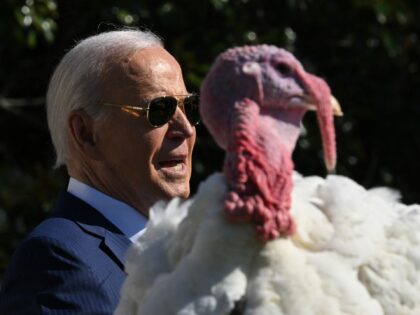 US President Joe Biden pardons Peach, the National Thanksgiving Turkey, during an event on