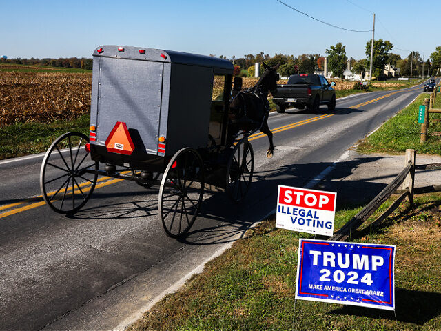 An Amish horse-drawn buggy passes by signs reading "Stop Illegal Voting" and "Trump 2024"