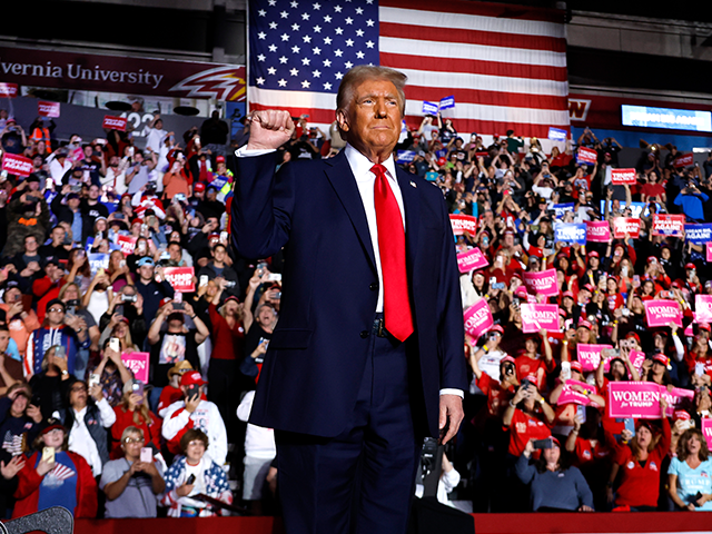 Former President Donald Trump holds up a fist at a campaign rally on November 4, 2024, in