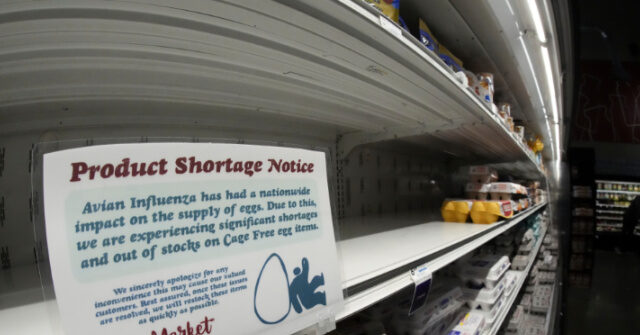 Egg Shortage and Price Increase Hit U.S. amid Holiday Season