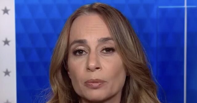 Dem Strategist Roginsky: We Don't Know How to Talk to 'Normal People,' We're 'Not the Party of Common Sense'