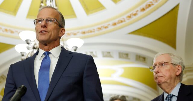 John Thune Elected Senate Republican Leader in Tight Race