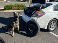 Photos: California K-9 Sniffs Out 2.2 Pounds of Suspected Fentanyl Hidden in Car