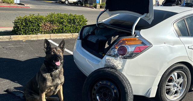 Photos: California K-9 Sniffs Out 2.2 Pounds of Suspected Fentanyl Hidden in Car