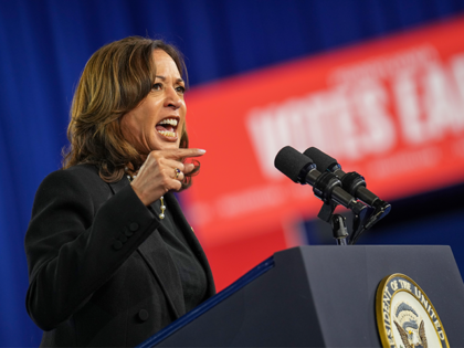 HARRISBURG, PENNSYLVANIA - OCTOBER 30: Democratic presidential nominee, U.S. Vice Presiden