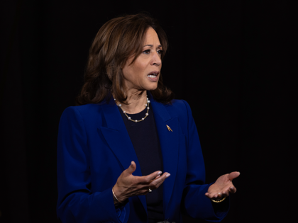 Vice President Kamala Harris speaks to the press on October 31, 2024 in Madison, Wisconsin