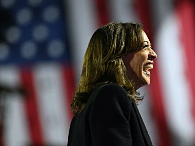 US Vice President and Democratic presidential candidate Kamala Harris smiles as she speaks