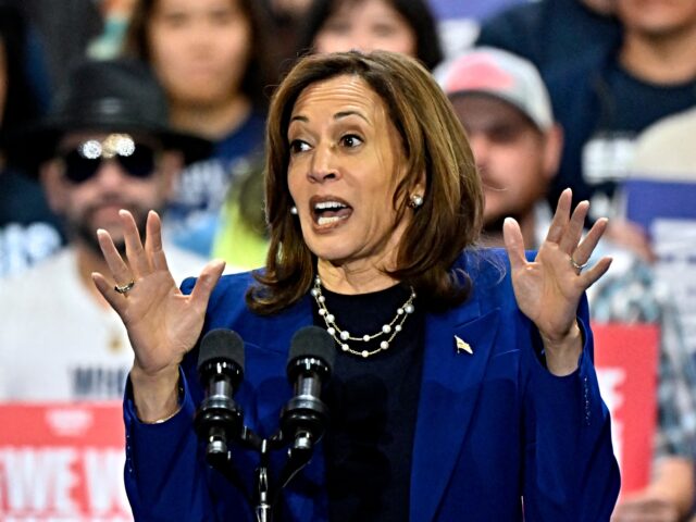 US Vice President and Democratic presidential candidate Kamala Harris speaks during a camp