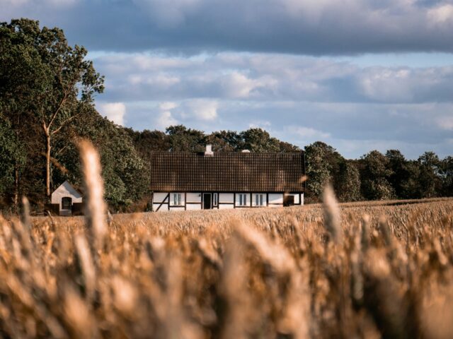 Denmark Set to Convert 10 Per Cent of Country’s Farmland Into Forests