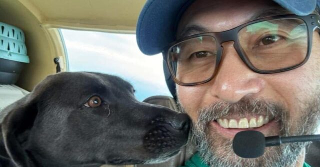 VIDEO: Animal Rescue Pilot Killed in NY Crash Alongside Dog