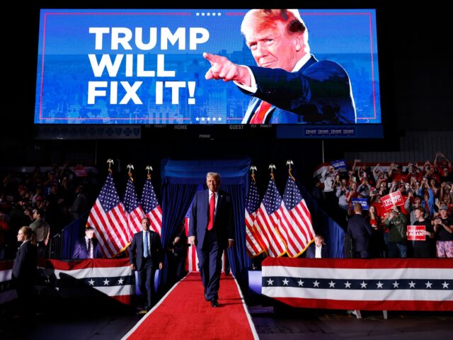 GRAND RAPIDS, MICHIGAN - NOVEMBER 05: Republican presidential nominee, former U.S. Preside