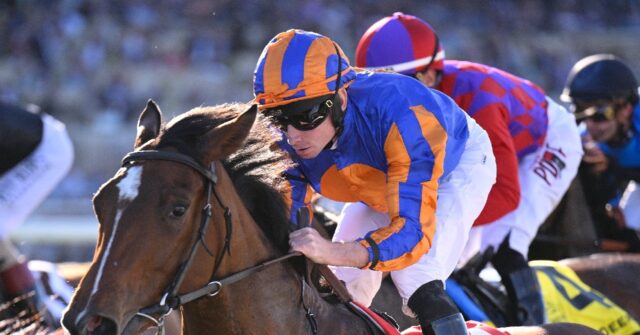 Aidan O'Brien Matches Breeders' Cup Record