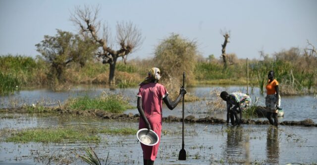 Flooding Displaces Thousands in South Sudan