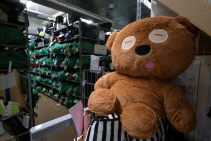 A teddy bear sits amongst thousands of items -- all bagged, tagged and organised based on