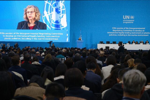 UN Environment Programme chief Inger Andersen said the world is facing a 'massive plastic