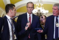 Republicans pick traditionalist John Thune as new US Senate leader