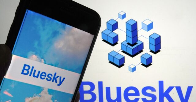 Bluesky Gains Users Amid X Decline