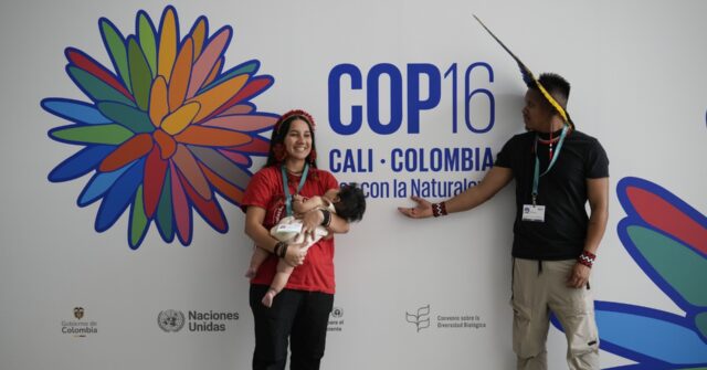 Indigenous Representation Established at UN Biodiversity Summit