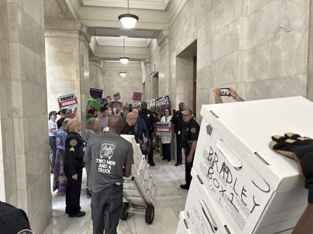Election 2024 Arkansas Supreme Court The Associated Press