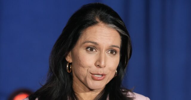 Gabbard's Sympathetic Views Toward Russia Cause Alarm As Trump's Pick ...