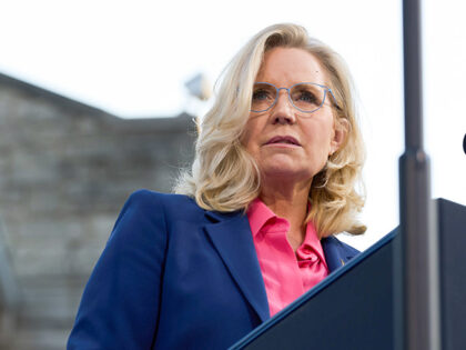 Vice President Kamala Harris gives remarks at a campaign event with Liz Cheney in Ripon, W