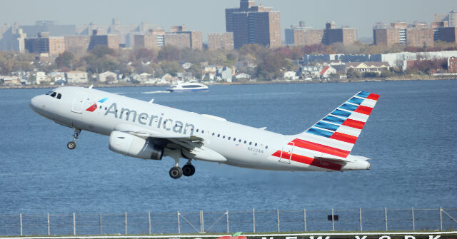 WATCH: Bird Hits Plane's Engine, Forces Emergency Landing at JFK