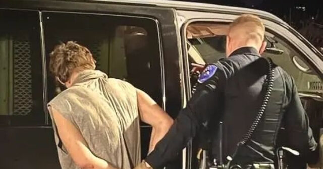 Pastor Trained in MMA Subdues Axe-Wielding Thanksgiving Burglar