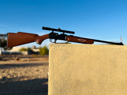 Daisy Powerline 880 Rifle