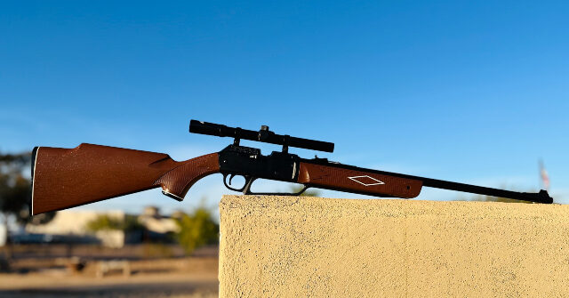 Review: Daisy Powerline 880 BB/Pellet Rifle with Scope