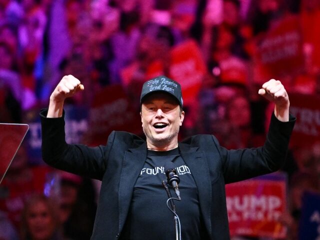 Elon Musk strikes a pose at Trump rally