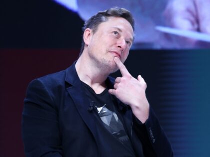 Elon Musk strikes a silly pose