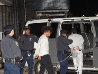 ICE Data: Over 58,000 Illegal Migrants in NYC Are Felons or Facing Criminal Charges