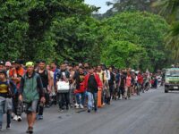 Mexico Sending Hundreds of Lawyers to Aid Illegal Migrants in U.S.A.