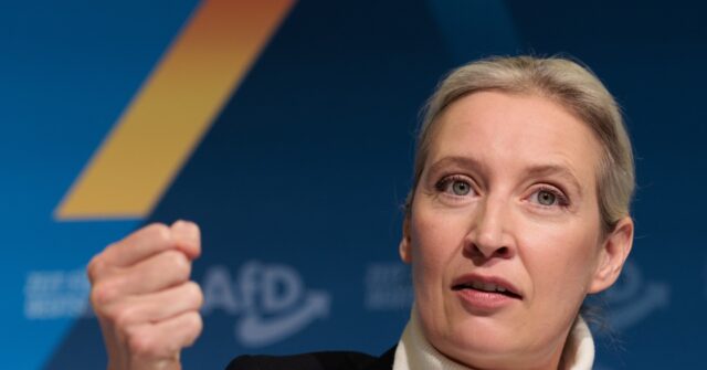 Populist AfD Leader Alice Weidel Surges to Top of German Chancellor Polls Ahead of February Elections