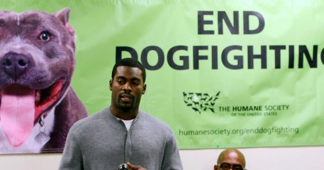 'Psychopath': PETA Rips Norfolk State for Hiring Michael Vick as Head Coach