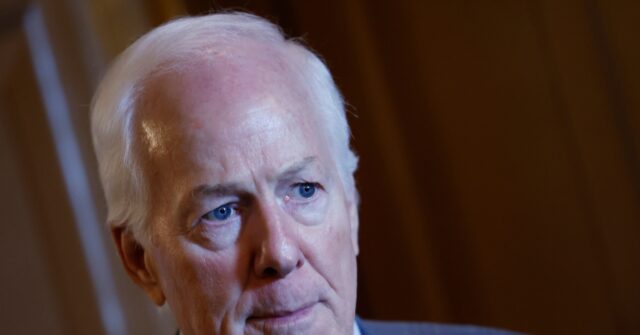 Report: John Cornyn Sought to Leapfrog Tom Cotton Atop Senate Intelligence Committee