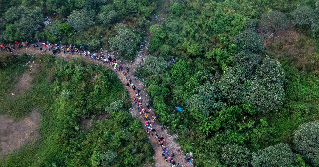 Number of Migrants Crossing Darien Gap Headed to the U.S. Plummets After Trump Election